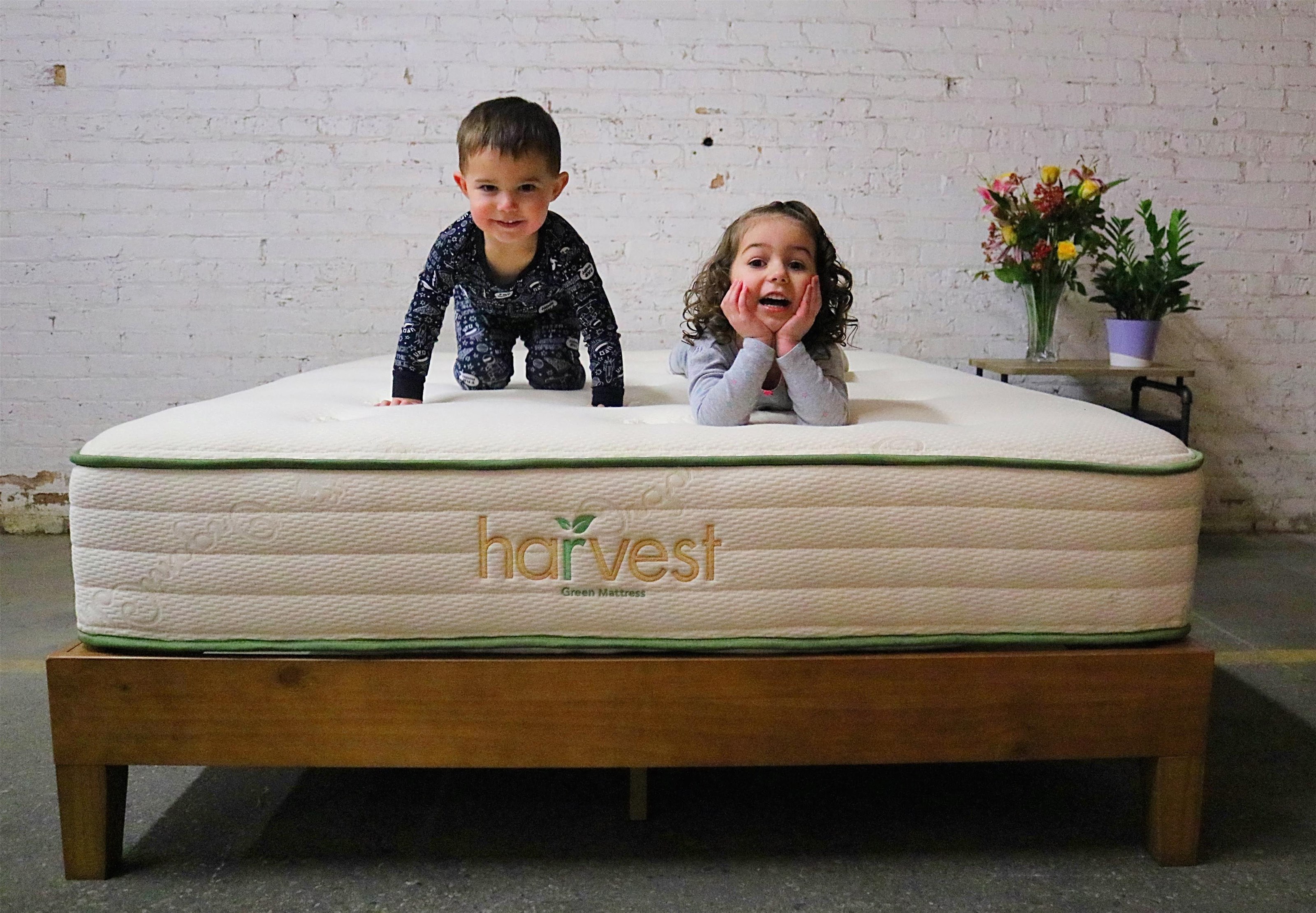 Harvest Green Mattress Harvest Original Cal King 11" Medium Firm Hybrid